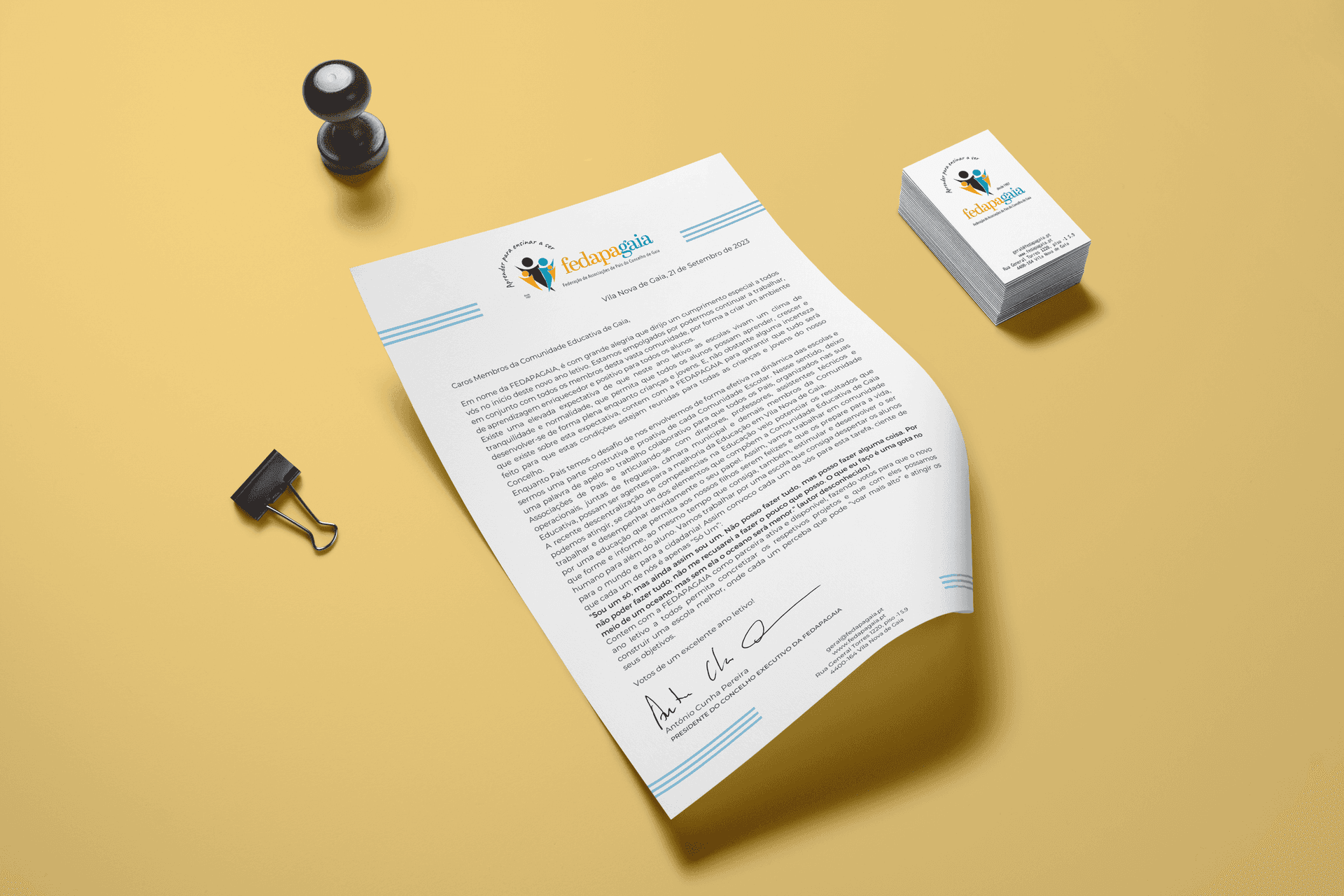 Fedapagaia - Image 5